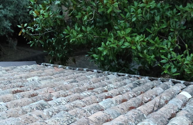 Belvilla by OYO Villa di Maria Laura - Photo 37