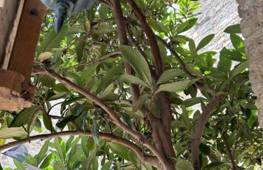 Il nido di Matilde - Foto 33