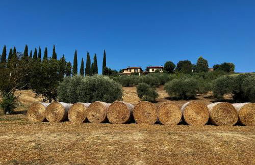 Country house Il Poggio - Foto 42