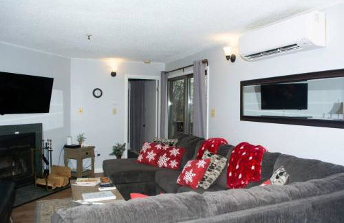 Winterplace Condos - Ski In Ski Out! E101 - Foto 1