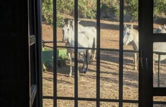 Casa Abanto - Photo 24