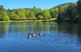 Casa da Igreja-Abadim - Foto 30