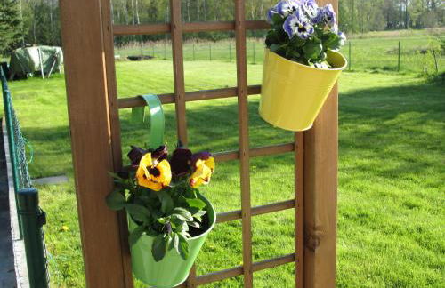 Pfeiffer´s Ferienwohnung - Foto 27