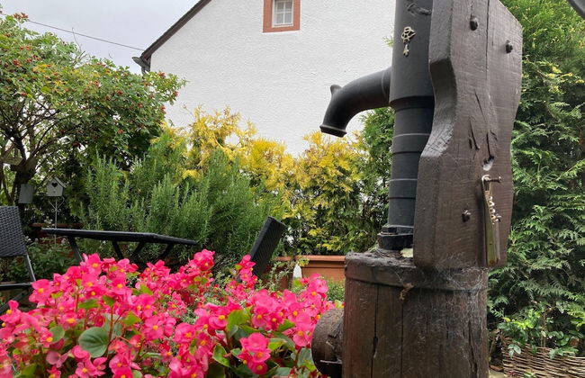 Apartment Welschbilling Near Trails - Foto 15