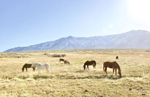 Stunning Design Rental Incredible for a Luxury Escape in Lone Pine, California - Foto 33