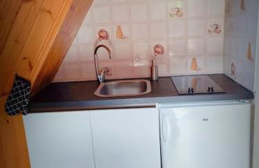 Logement 6 pers au cœur des montagnes pyrénéennes linge de maison et papier toilette non fournis - Foto 27