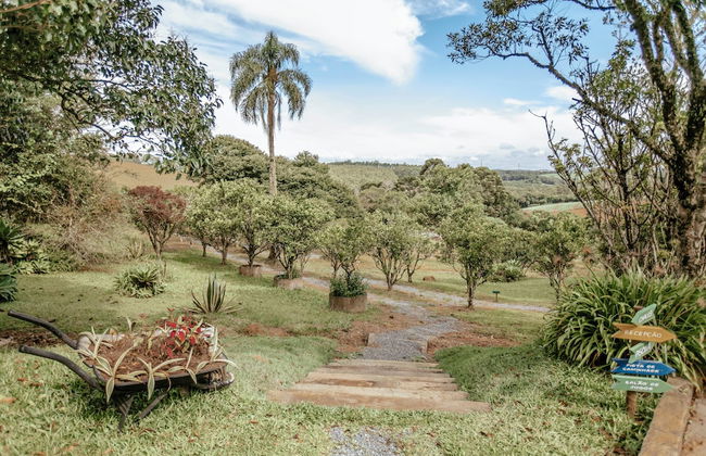 Roteiros Adorai - Foto 71