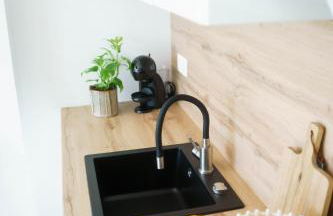 Emerald Suite Plaza - Photo 5