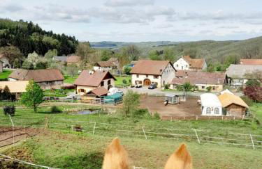 Chevaux au Soleil - Foto 34