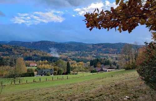 Refuge au coeur des Vosges - Foto 17