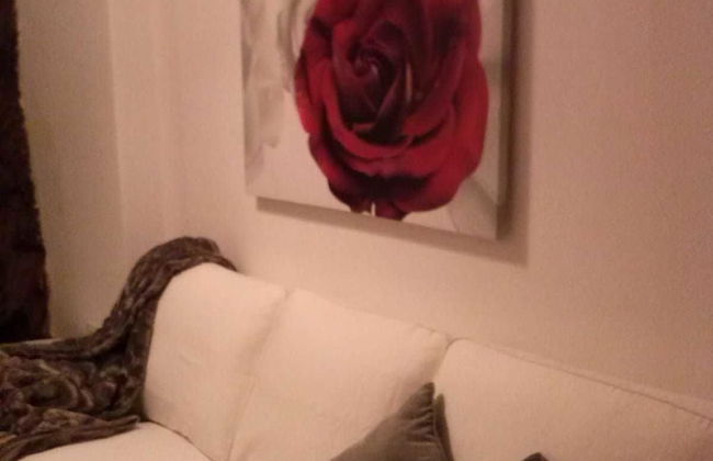 Apartamento Prunus Avium - Foto 9