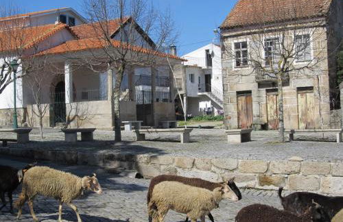 Casa do Chão do Ribeiro - Foto 45