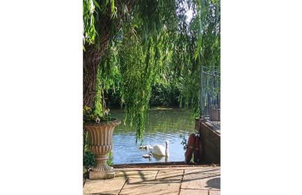 Riverside Lodge Self-Catering Apartment - Foto 15