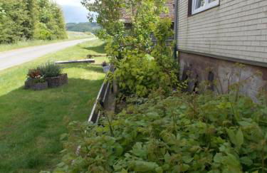 Natur Und Ruhe - Für Ruhe Suchende - Photo 13