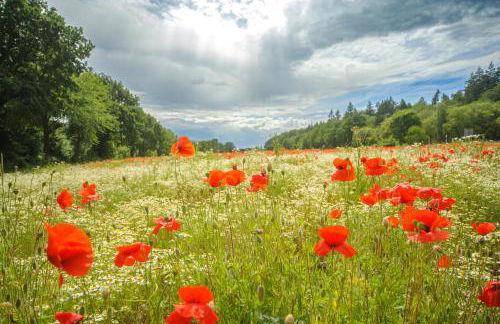 Ferienwohnung Schlafgemach - Gemütlicher Urlaub zwischen Ostsee und Holsteinische Schweiz - Boxspringbett & Wallbox - Foto 34