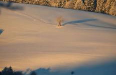 Schwarzwald Chalet - Karlshütte - Photo 7