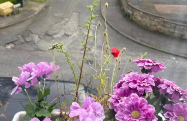 Entire Budget Friendly Apartment with Free Parking & Self Check-In - Photo 3