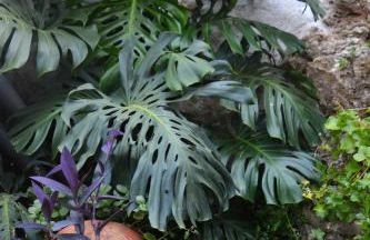 Casa da Nonô - Foto 23