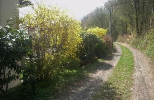 Apartment in Waldbreitbach mit Whirlpool by Interhome - Foto 19