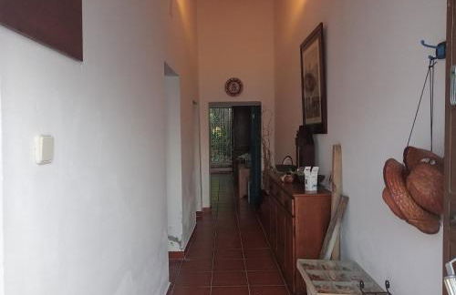 Ferreira Alentejo Terrace Villa - Foto 44