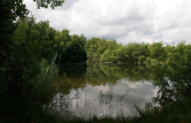 Nymarksminde Apartments & Farmpark - Foto 38