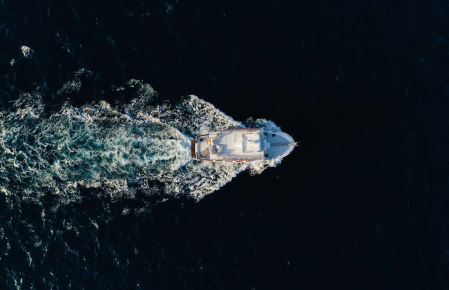 Paseo nocturno en barco por la bahía de Palma - Foto 2