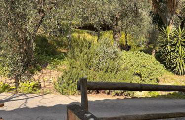 Podere Val di Vico - Foto 18