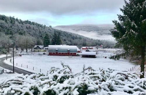 The Blue House On The Hill Catskills—Views - Photo 26