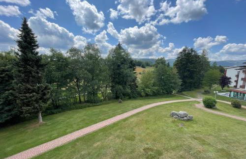 MySchluchseehome Gemütliche Ferienwohnung mit Südbalkon und Pool im Haus - Foto 9