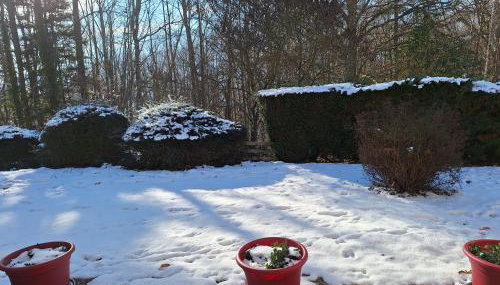 Le Nid des Frênes - Studio au Cœur de la Nature - Foto 3