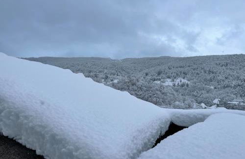 Large family - Foto 37