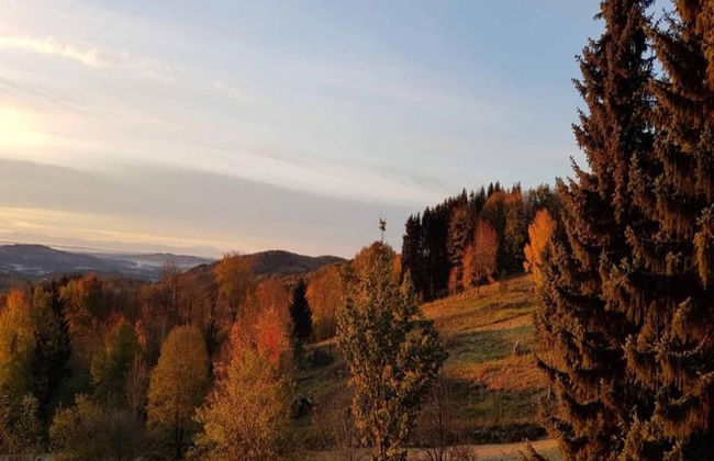 Comfortably Furnished Apartment in Lower Bavaria - Foto 37