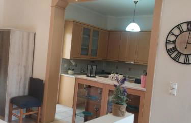 Apartment Milonas Antoni - Photo 41