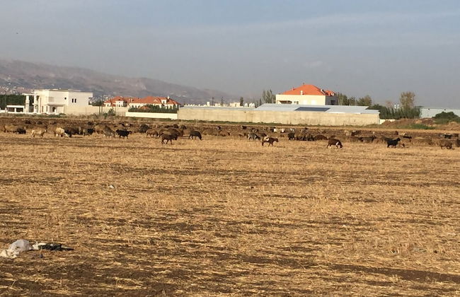 Karim's Sahel - Foto 15