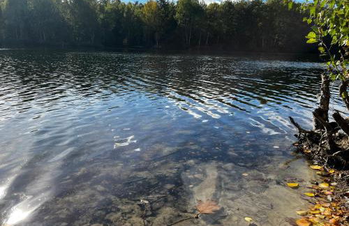 Ferienwohnung am See Dillich - Hunde willkommen - Eigener eingezäunter Garten - Ruhige Lage - Foto 32
