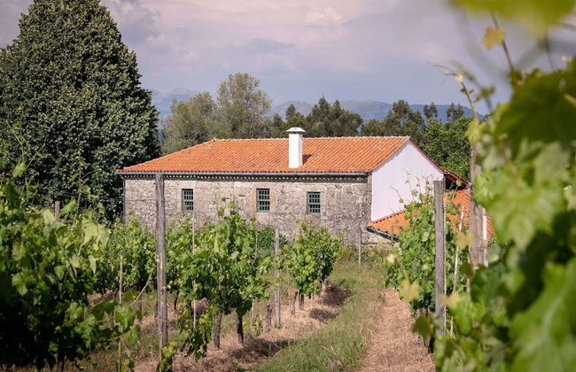 Cozy Mansion in Ponte de Lima With Pool - Foto 1