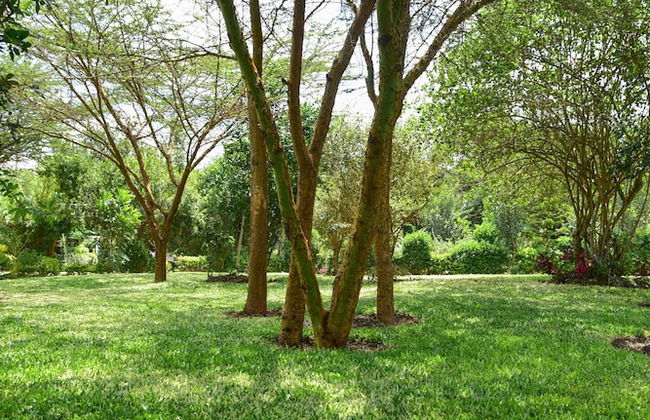 Olkeri chalete - Foto 19