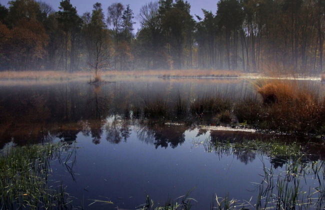 An der Muhlenbachaue - Foto 8