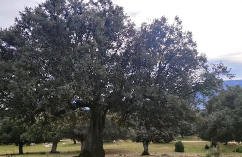 Disfrutando la zona - Photo 31