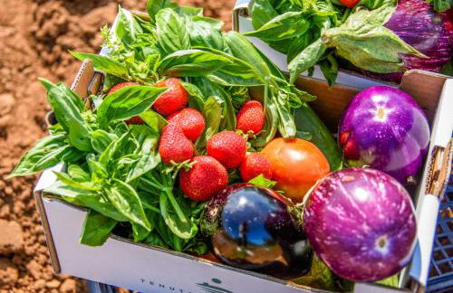 Residence Riva degli Etruschi - Foto 76