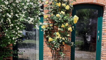 Ferienwohnung Landidylle - Foto 2