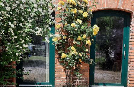 Ferienwohnung Landidylle - Foto 2