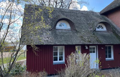 Ferien direkt am Wasser mit Hund - Foto 44