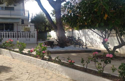 Cala Llanetes - Foto 38