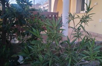 Apartmani Sanja - Foto 12