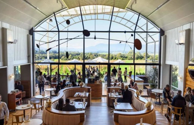 Ruta gastronómica por el valle de Yarra: cerveza, vino y chocolate – Un día entero - Foto 3