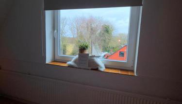 Wattenglück 3 - Foto 4