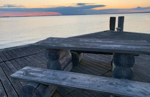 Das Schilfrohr - Foto 15