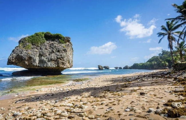 Devachan Apartments - Foto 51