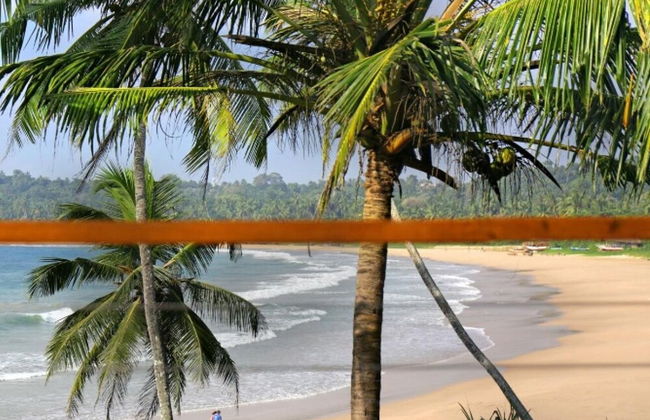 Modern Beach Villa With Roof Garden - Photo 22